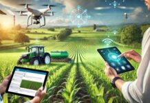 Agri-fintech et intelligence artificielle : un nouvel axe de développement du crédit rural en Afrique