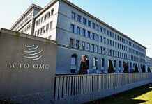 Forum de l’OMC à Genève : Entre essor de l’IA et boom des services, la Tunisie consolide son statut de hub exportateur