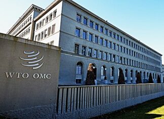 Forum de l’OMC à Genève : Entre essor de l’IA et boom des services, la Tunisie consolide son statut de hub exportateur